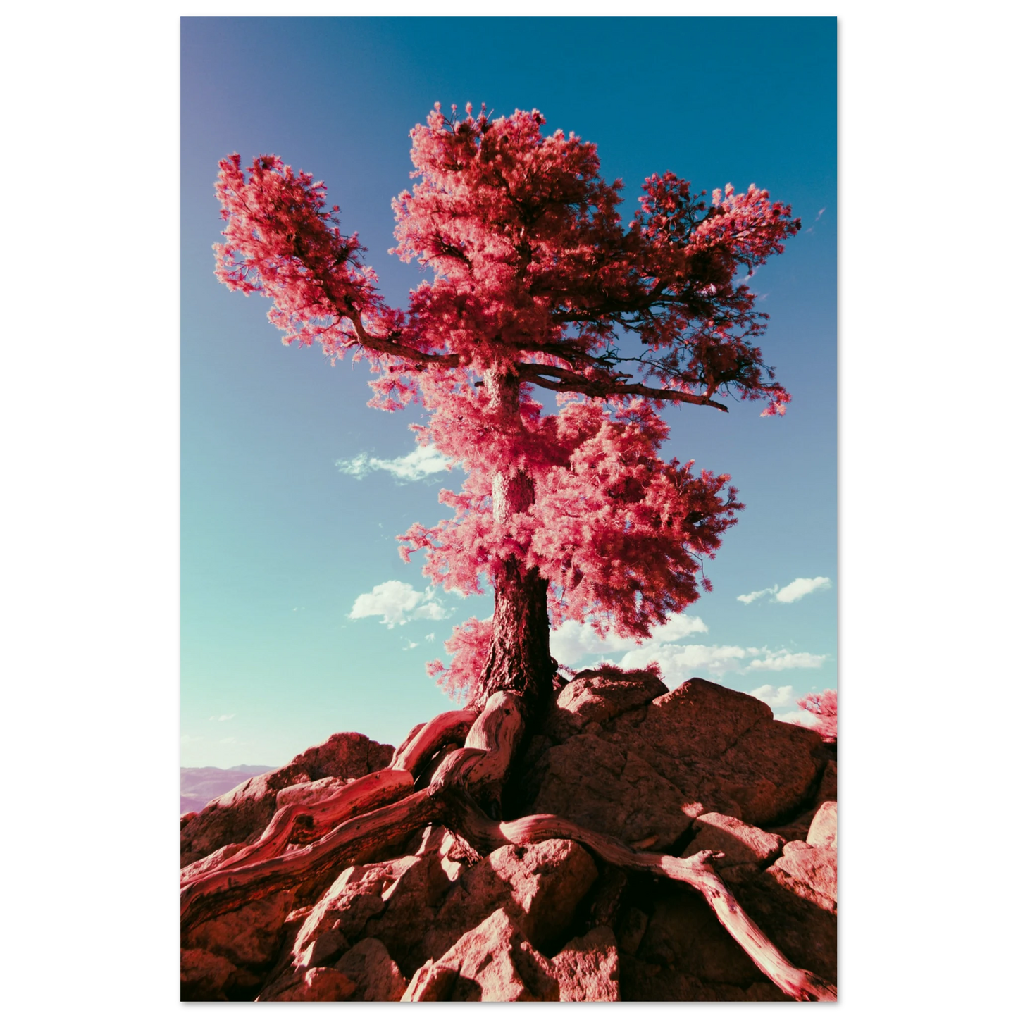 faff2cbc-eb44-4337-9ba4-b5d20c26677d