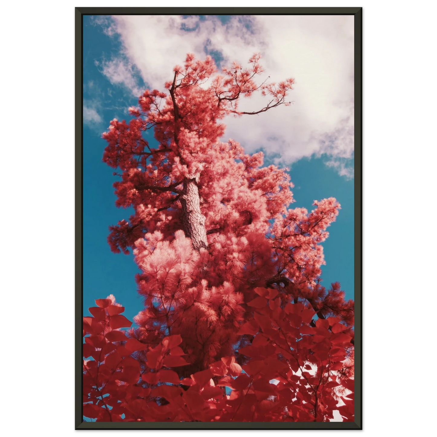 fe03316f-a4d8-4d09-a27c-20a2a5145f0e