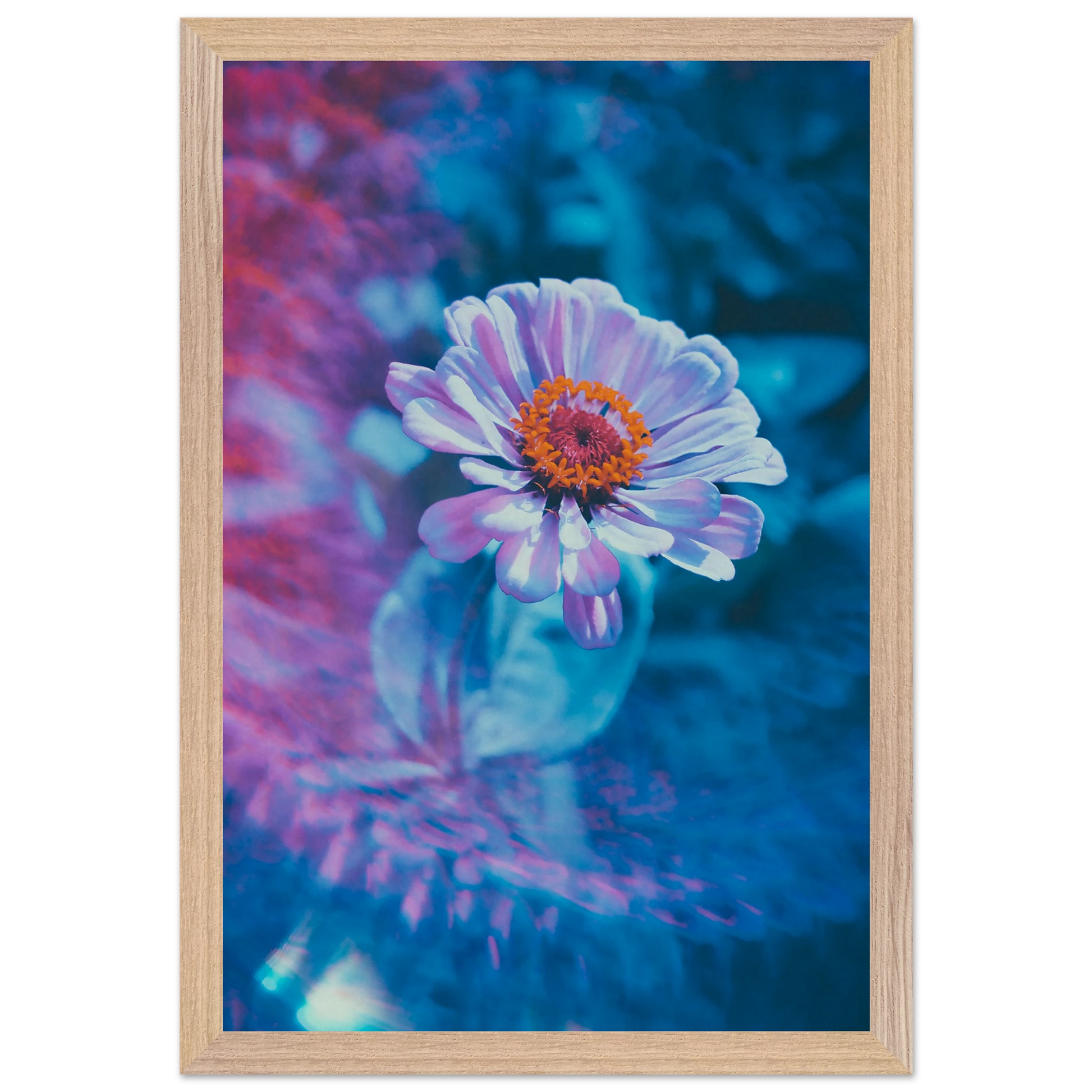 018eca04-f071-47f6-8f94-ae754dfac40d