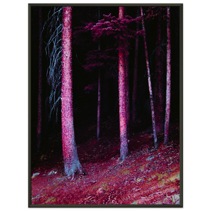 0c7216bb-4677-4475-bf6a-4bddcc335695