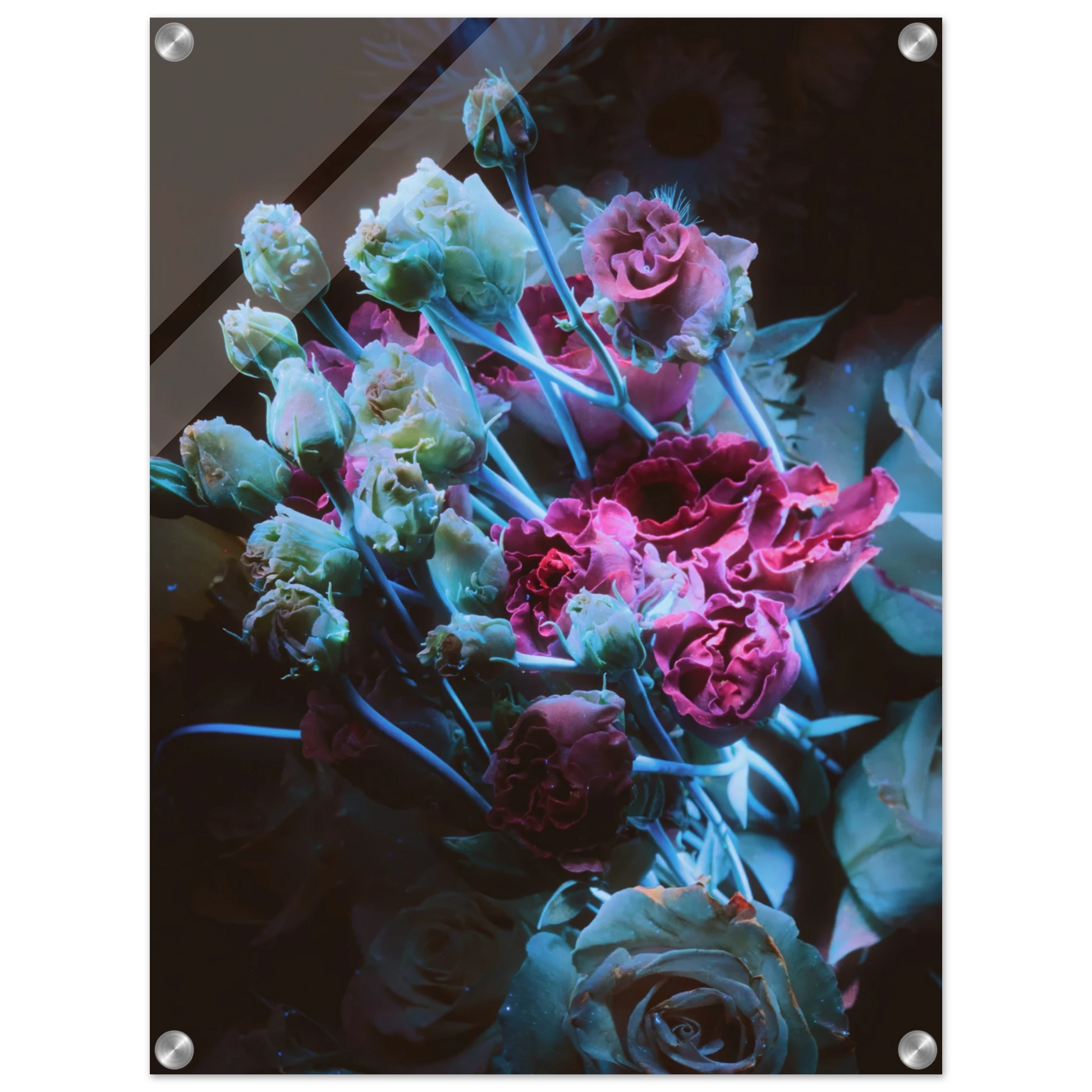 0c9f1b7a-25d0-4116-b70c-5f3f9eb38328