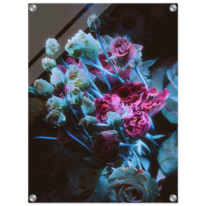 0c9f1b7a-25d0-4116-b70c-5f3f9eb38328