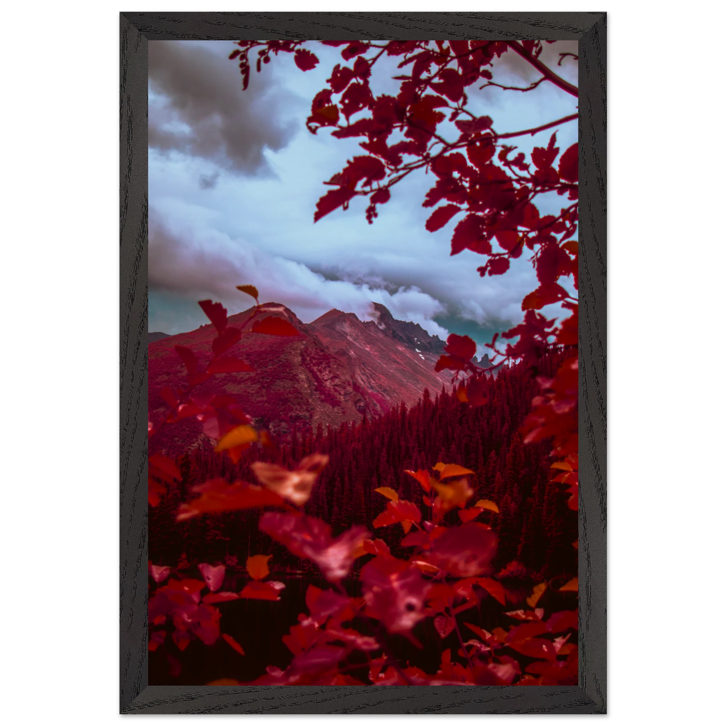 11864d5b-0083-4fb2-9ded-804a78da803a
