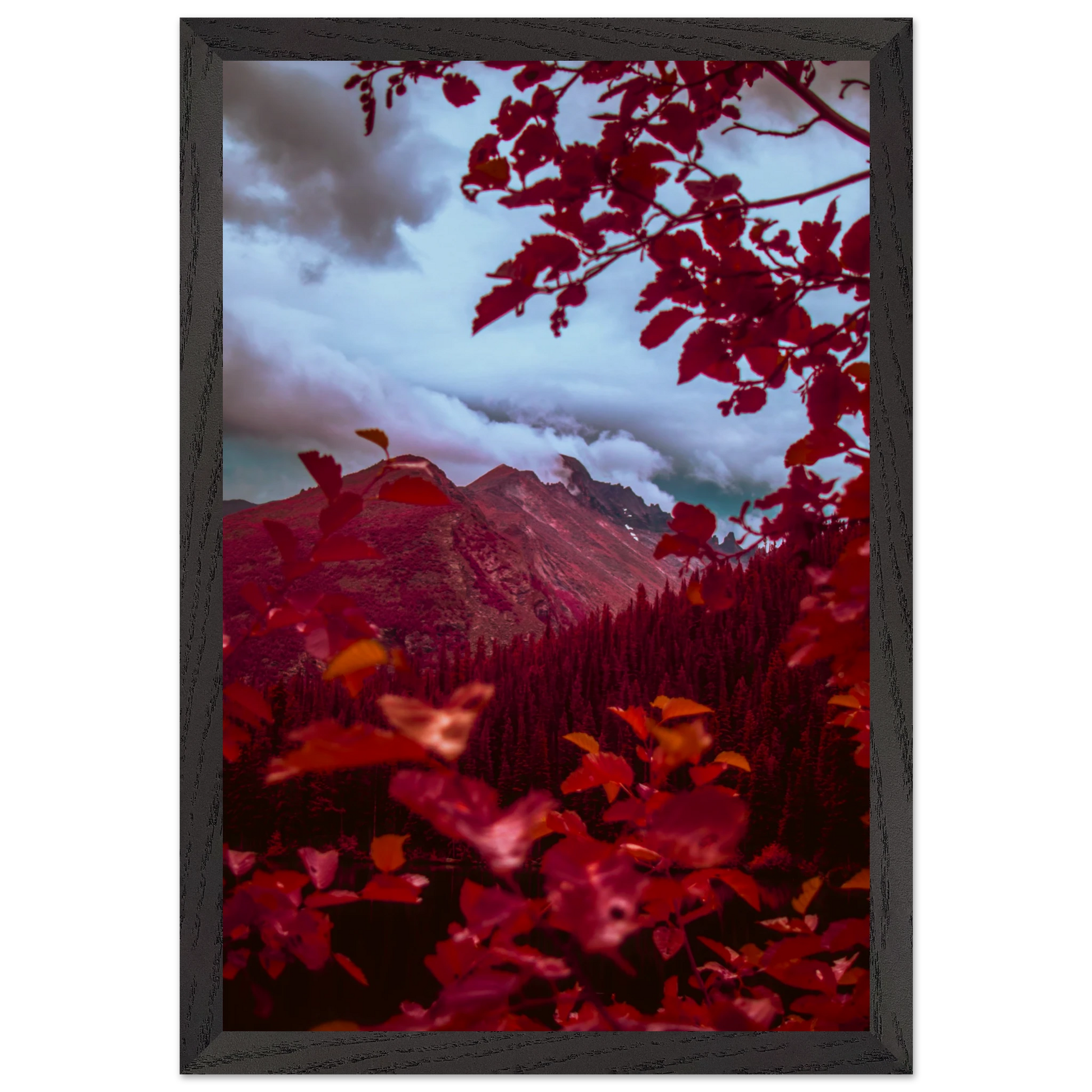 11864d5b-0083-4fb2-9ded-804a78da803a
