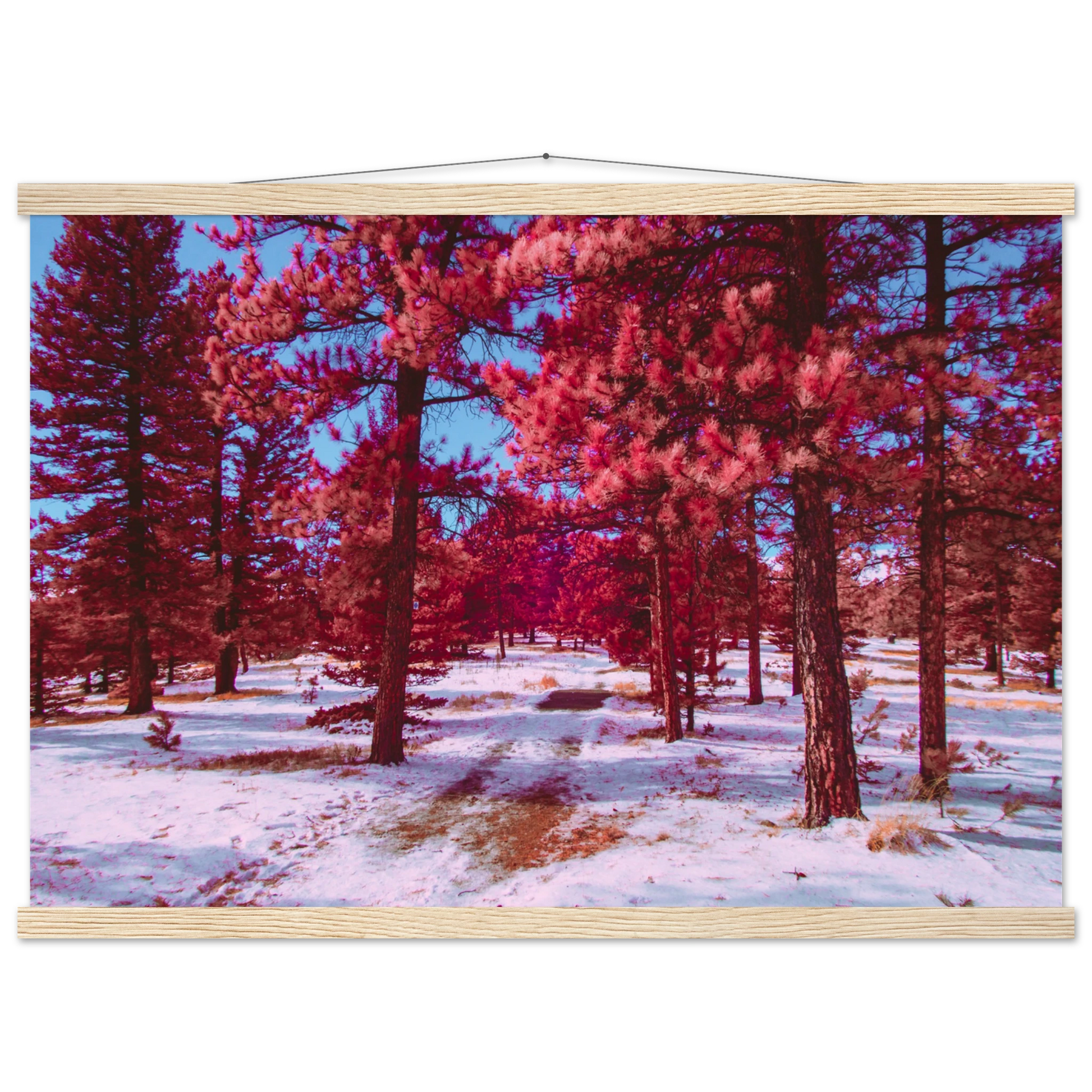 1b3deb7a-d5c2-4122-b920-e30753814034