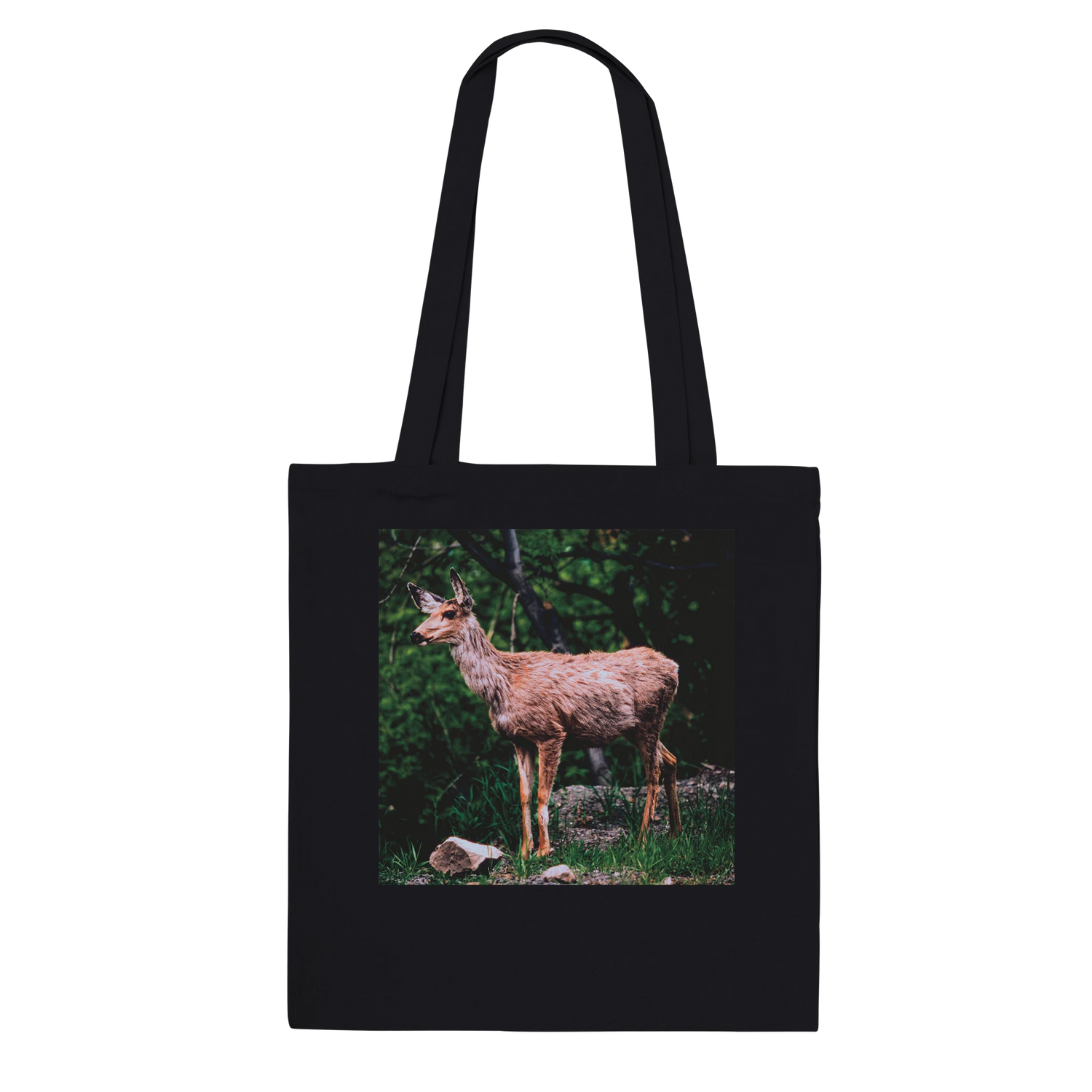 20c1e65f-8f5f-4afd-966b-c53cc6674f04