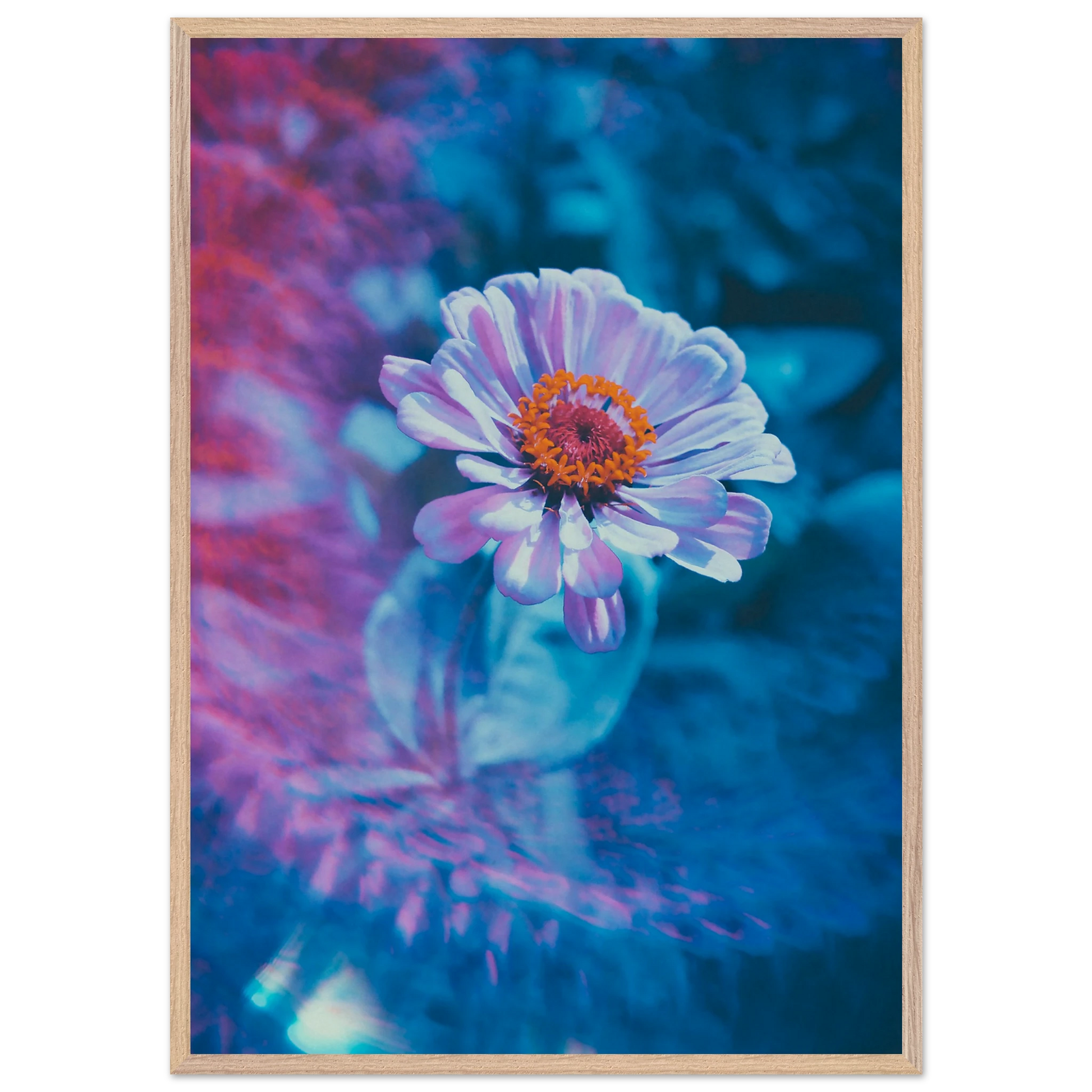 2d41c2fd-2883-4a04-9d70-fb41995edafd