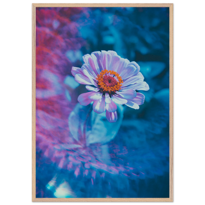 2d41c2fd-2883-4a04-9d70-fb41995edafd