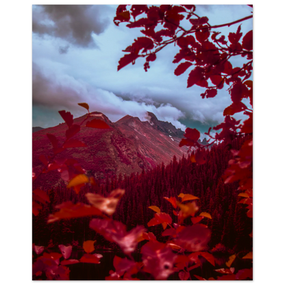 30d73f91-e450-4c40-9405-7b48f6de42b4