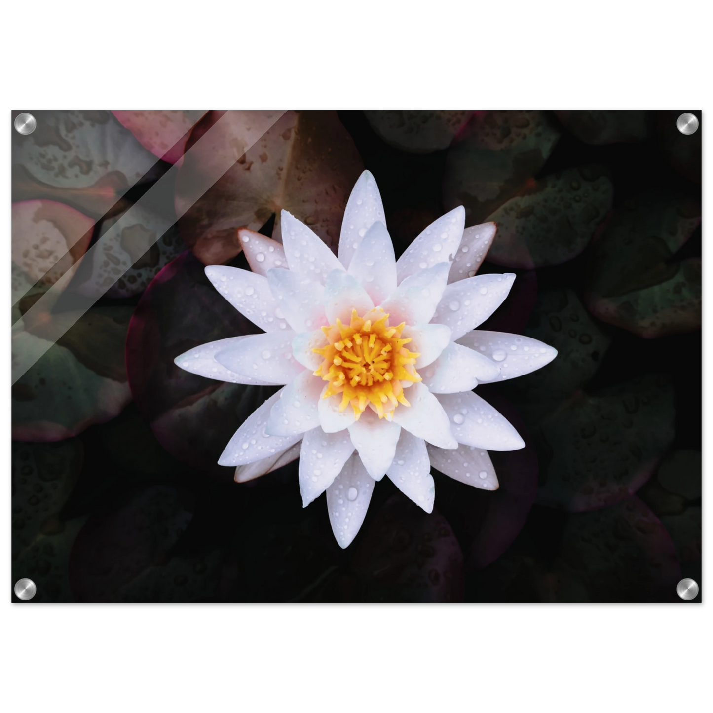 33d02253-e358-4e5e-9bb6-08db202ccdfc