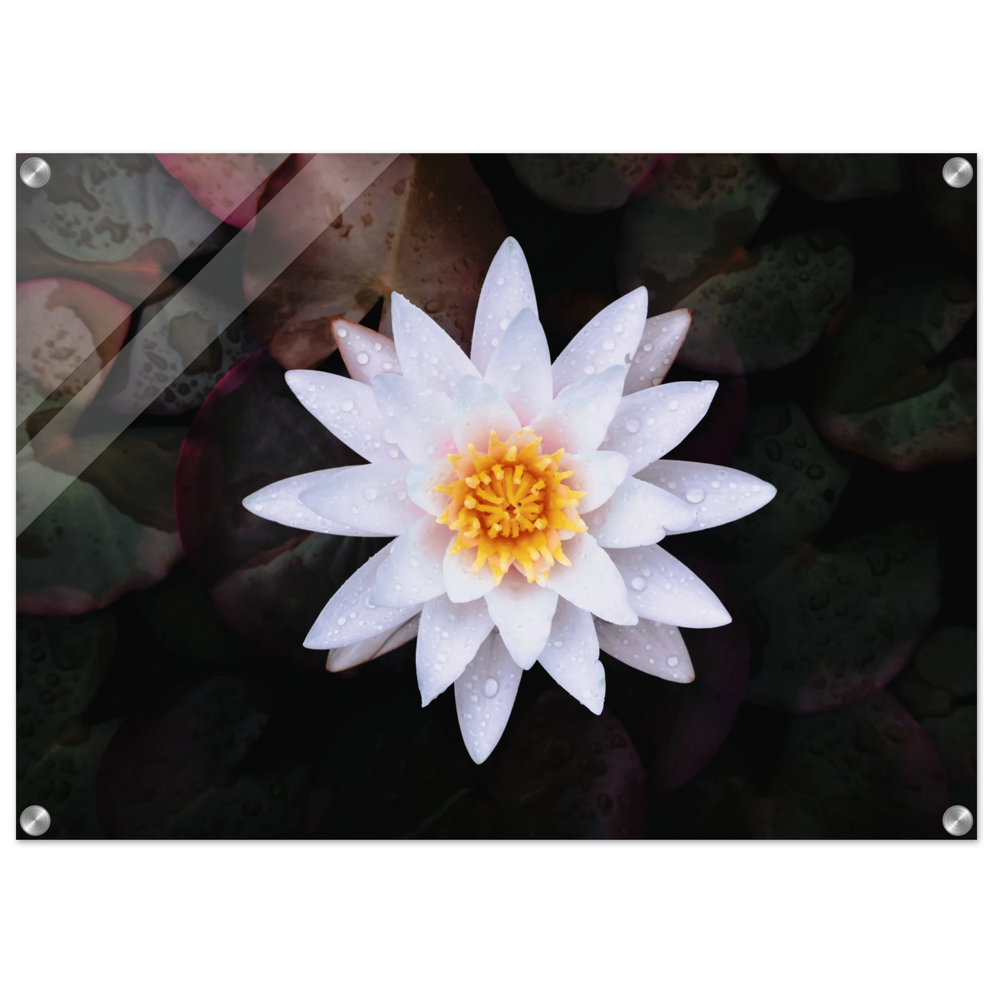 33d02253-e358-4e5e-9bb6-08db202ccdfc
