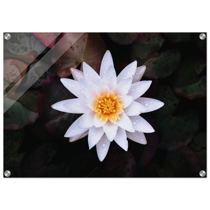 33d02253-e358-4e5e-9bb6-08db202ccdfc