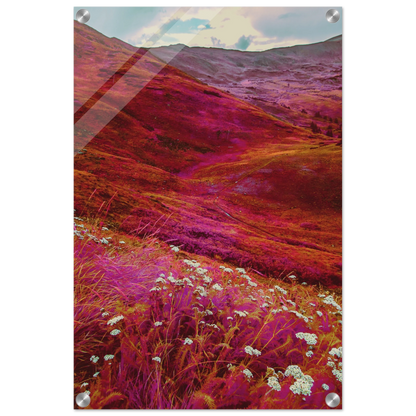 35a3600d-e709-4eb3-89dd-fa5accabc0e7