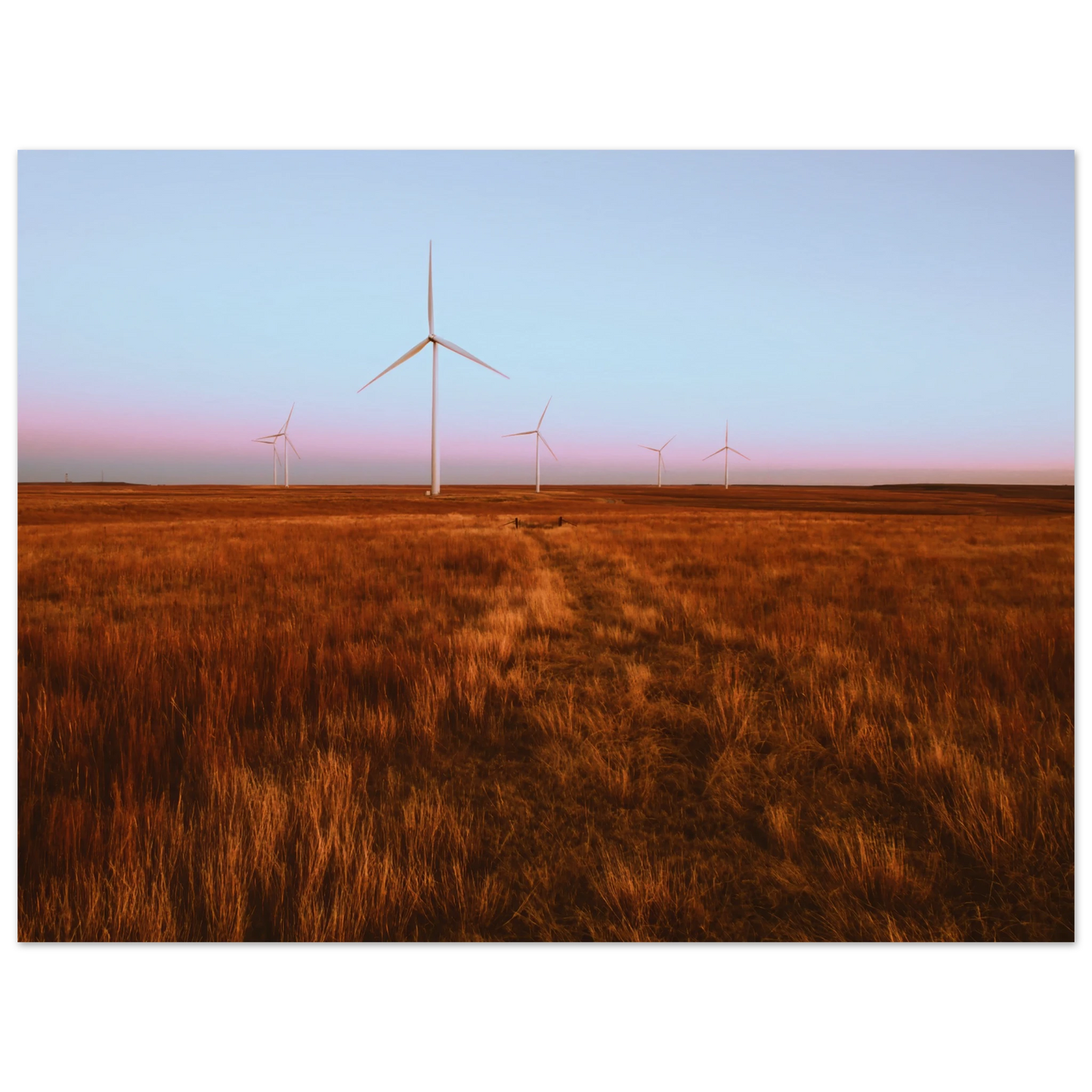 3b7f6288-17e8-4602-852f-7dde1808fc30