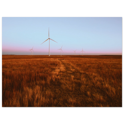 3b7f6288-17e8-4602-852f-7dde1808fc30