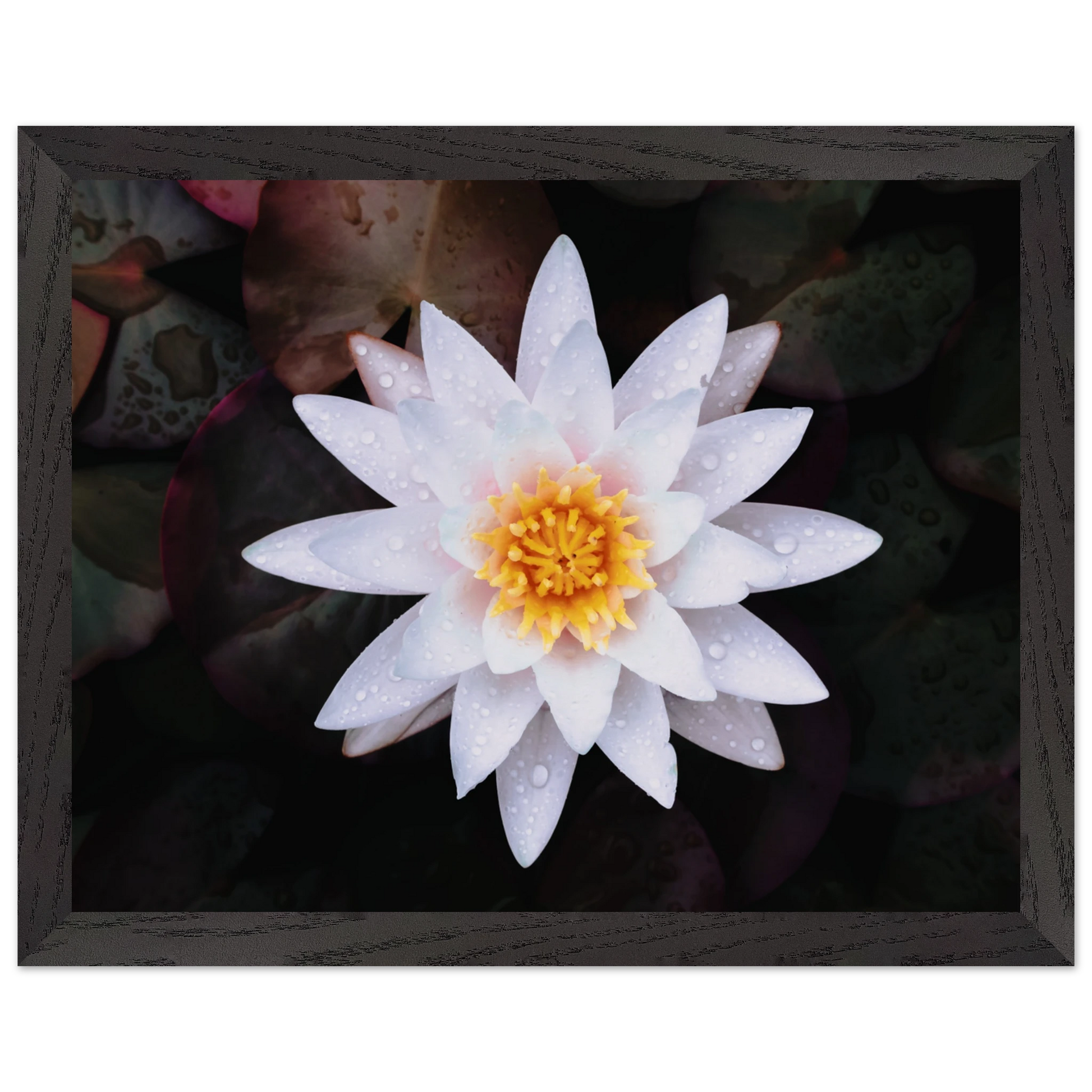 3d476e57-714b-4bca-af2b-9723ae6581f4