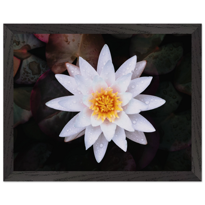 3d476e57-714b-4bca-af2b-9723ae6581f4