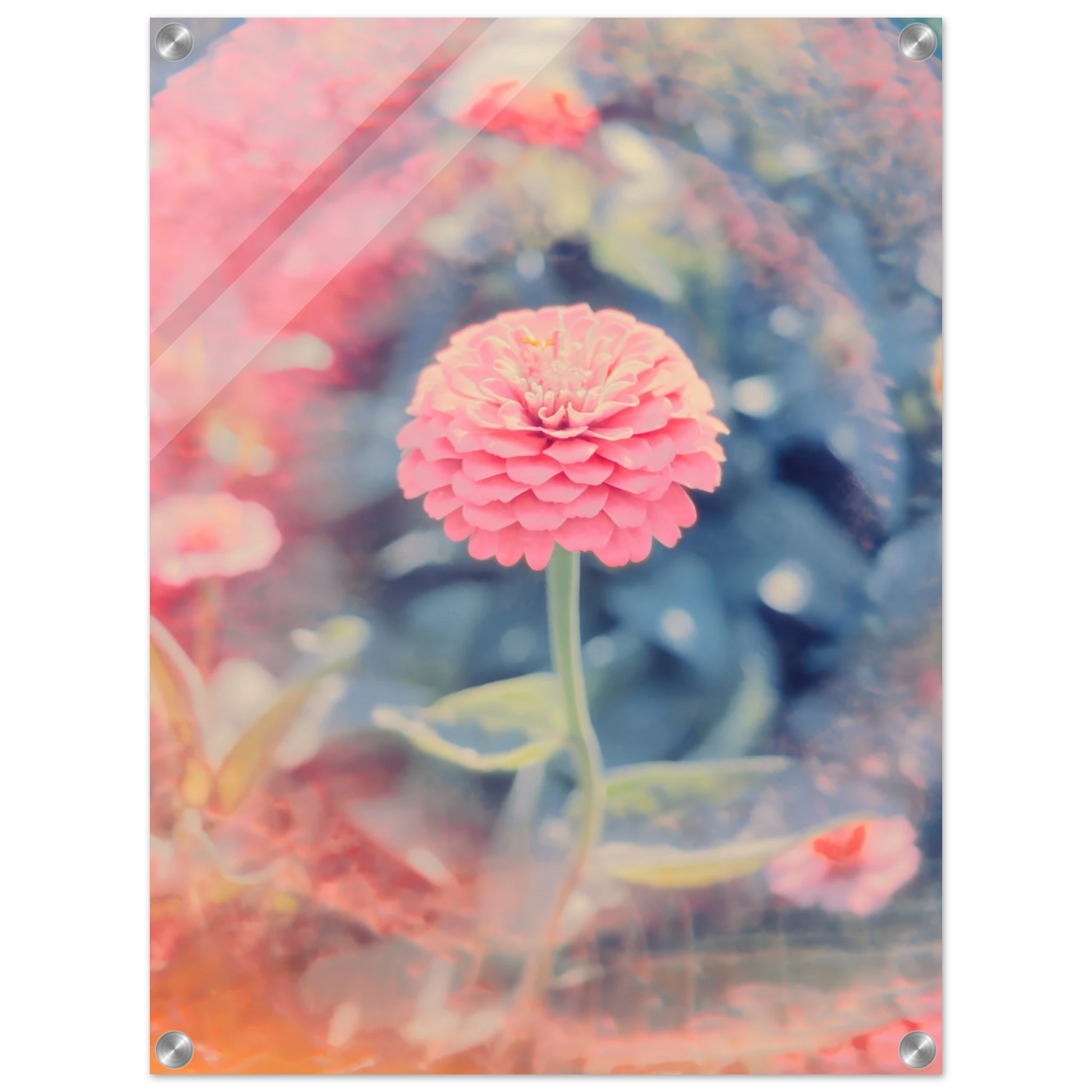 5c500f11-4e63-49e9-bf8d-b5562c74d4e6