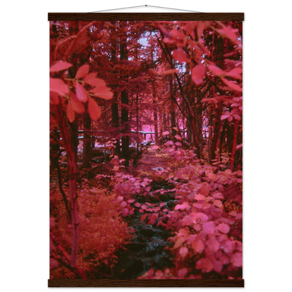 5c598be7-32ef-4f4f-8069-e5868b0b1bbb