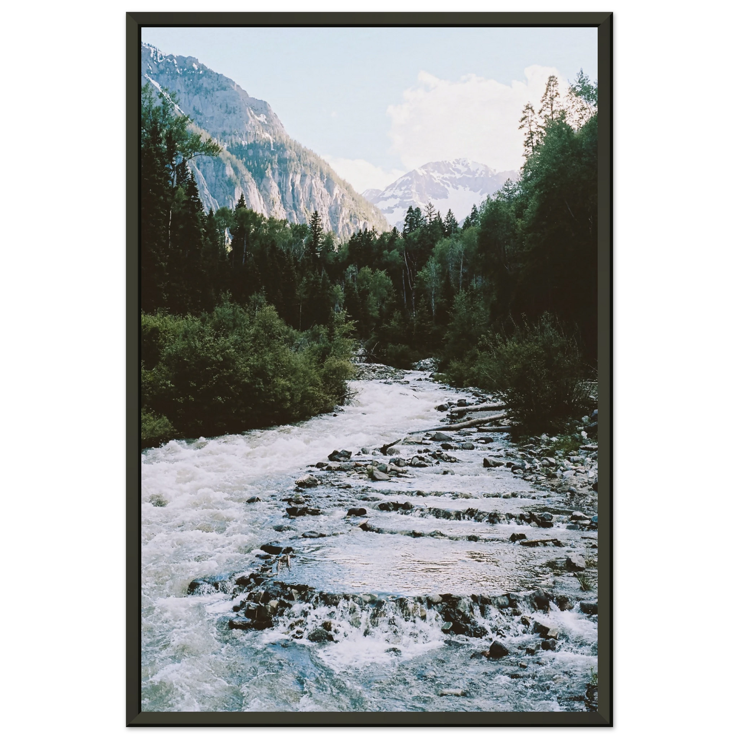 5d5f4505-f908-4bd2-9fb0-afbfc4e942a6