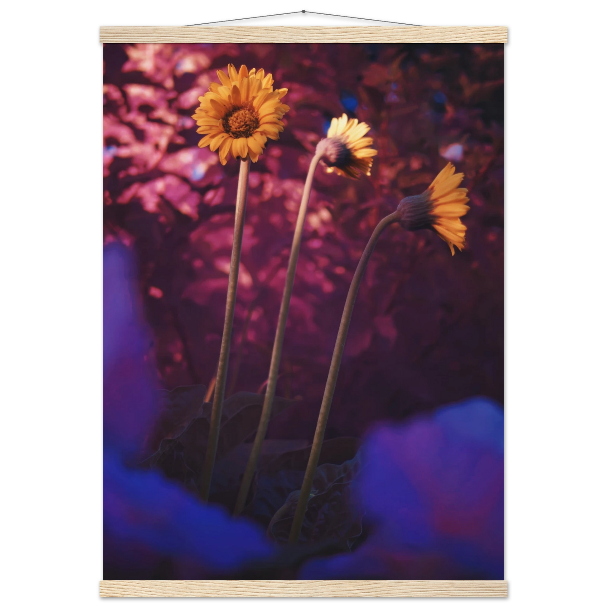 5f0cc766-ca67-44df-b833-6fb34b10c0a6
