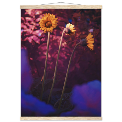 5f0cc766-ca67-44df-b833-6fb34b10c0a6