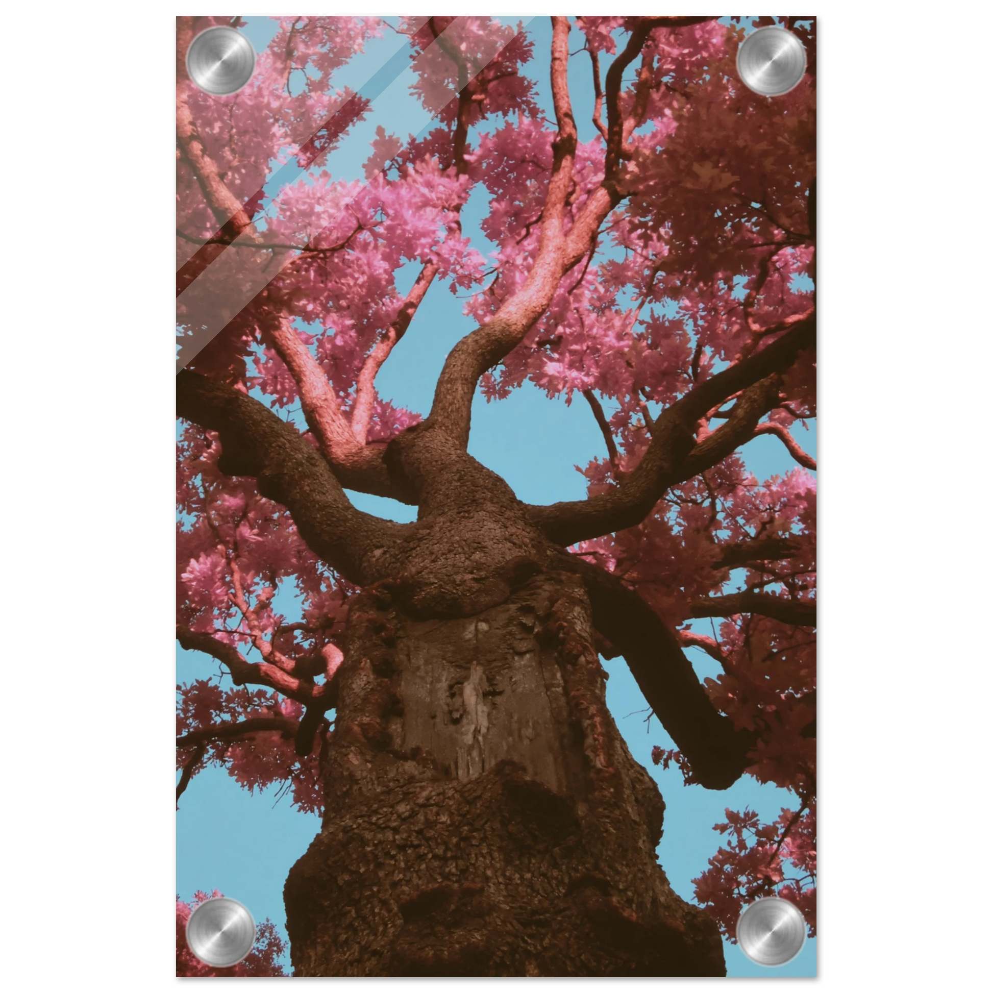 67a7c119-5704-44da-bd7a-f730d1d672ab