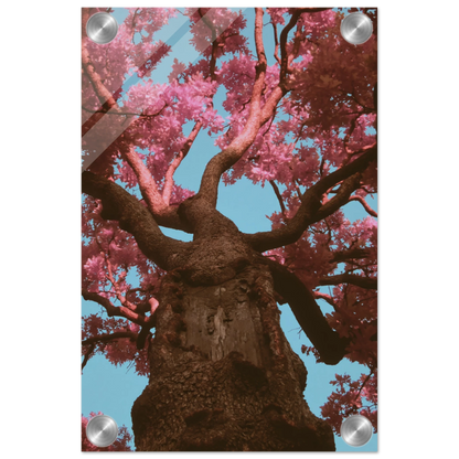 67a7c119-5704-44da-bd7a-f730d1d672ab