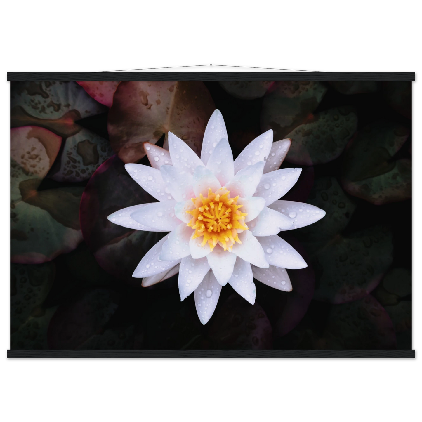 69d84416-df0f-45fe-9335-5cb2aa351dc7