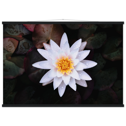 69d84416-df0f-45fe-9335-5cb2aa351dc7