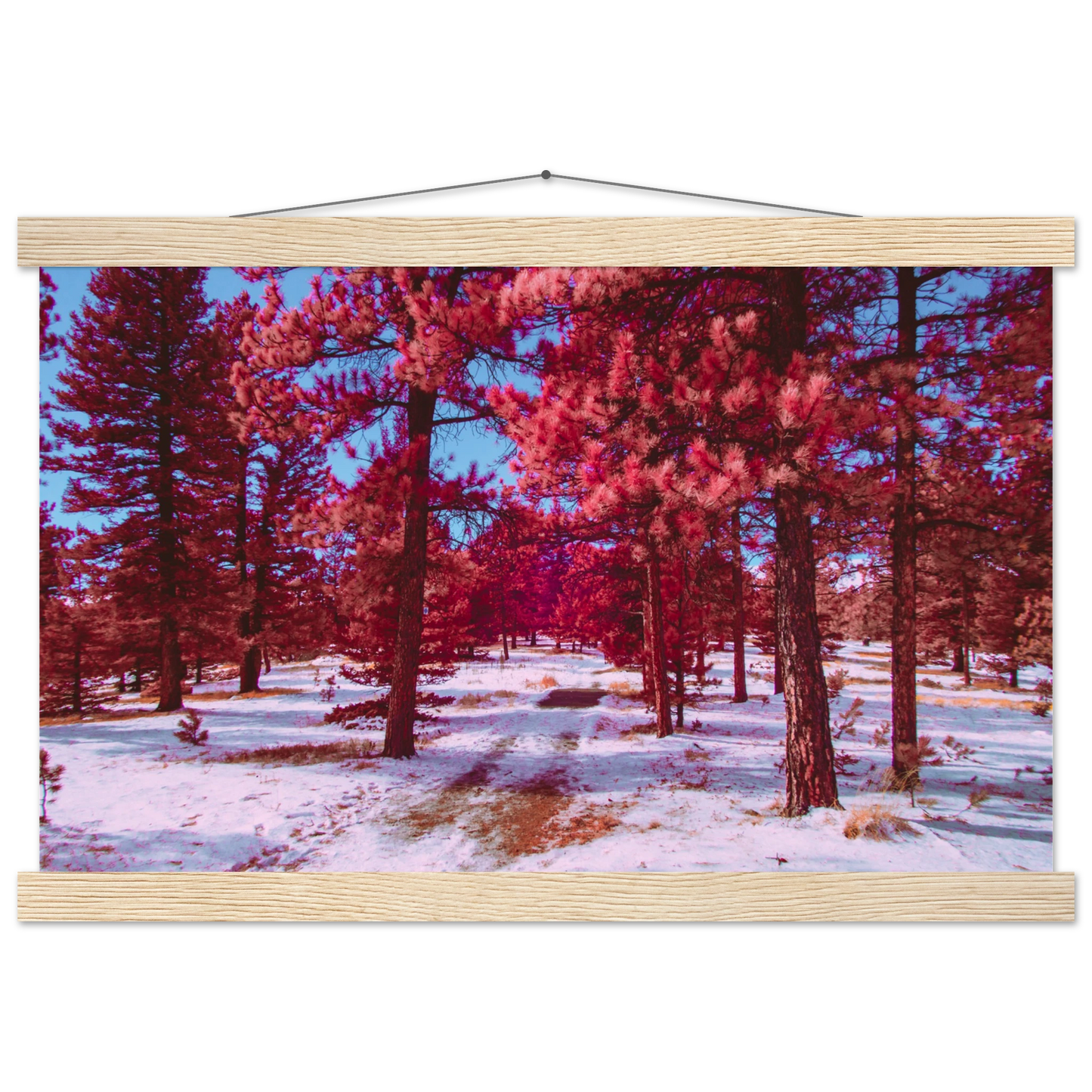 6a853d39-d7e4-4301-aedd-d3e4b7d0e209