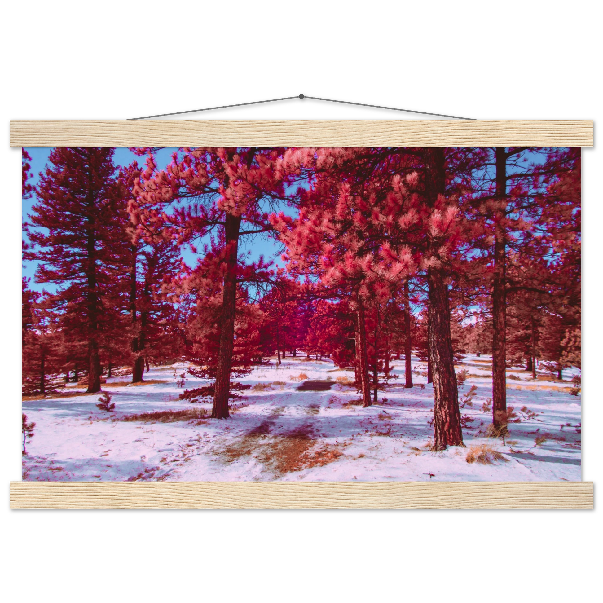 6a853d39-d7e4-4301-aedd-d3e4b7d0e209