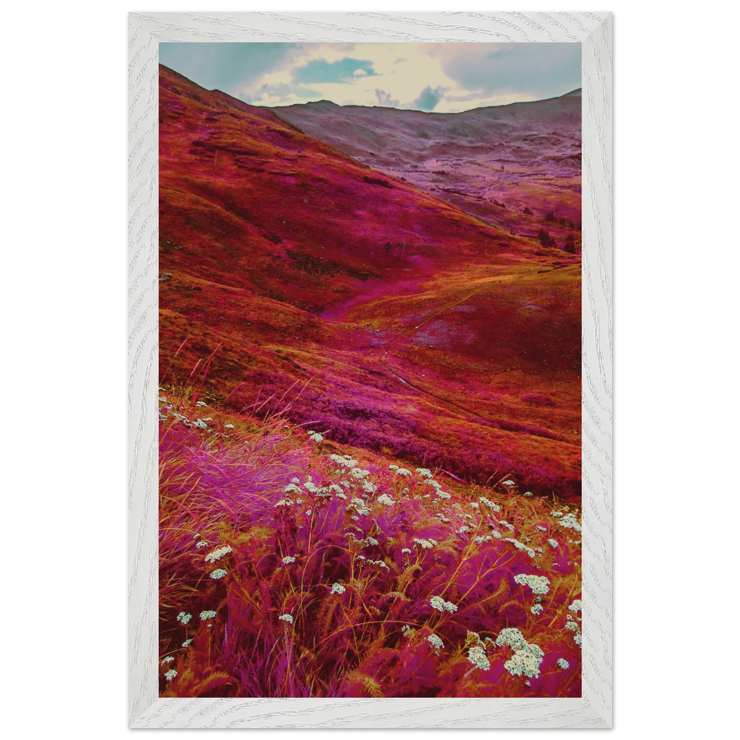 6b6465bf-778c-40a1-a1af-0ee480fd0d06