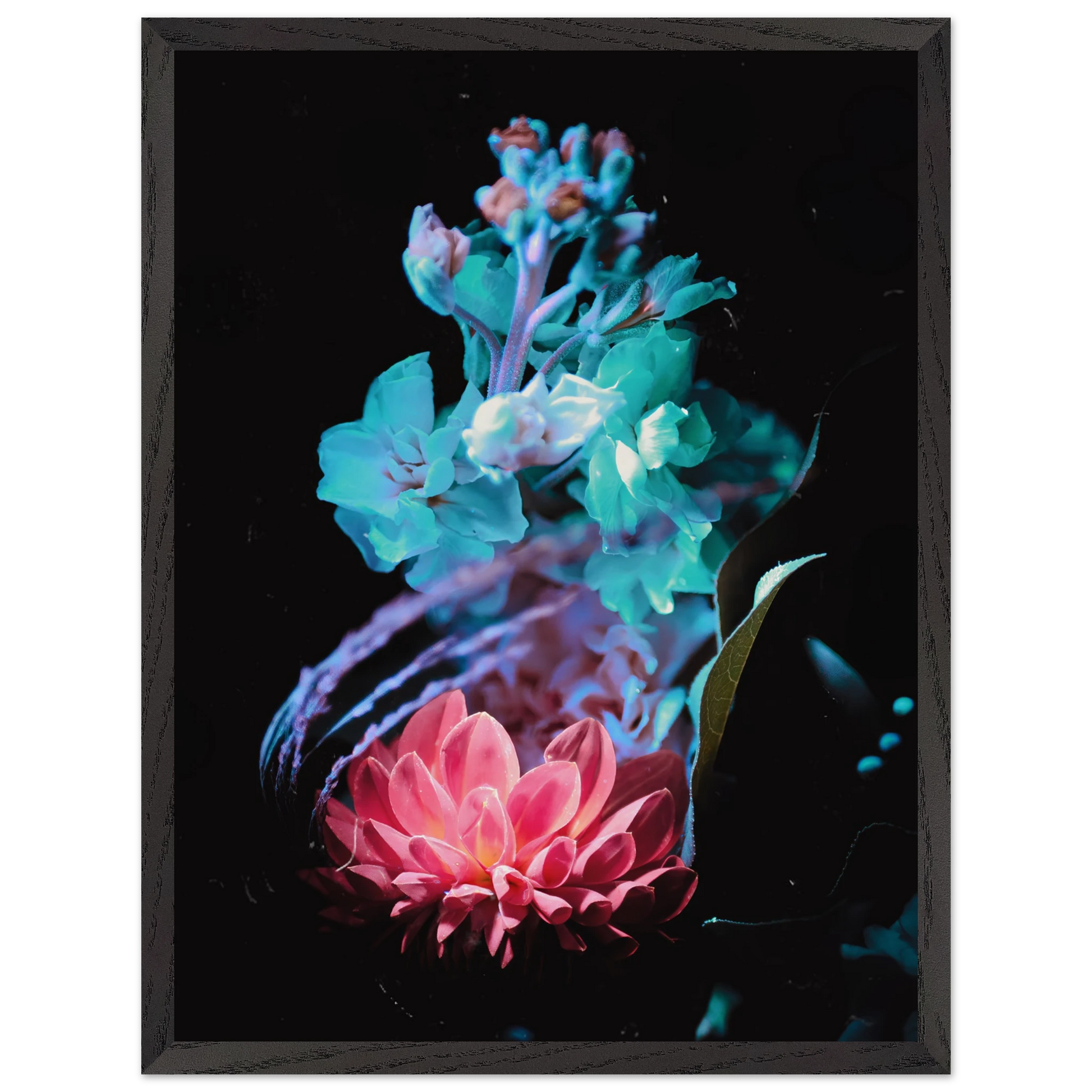 6ce11df9-9810-47dd-ae28-6c1cdbf2d948