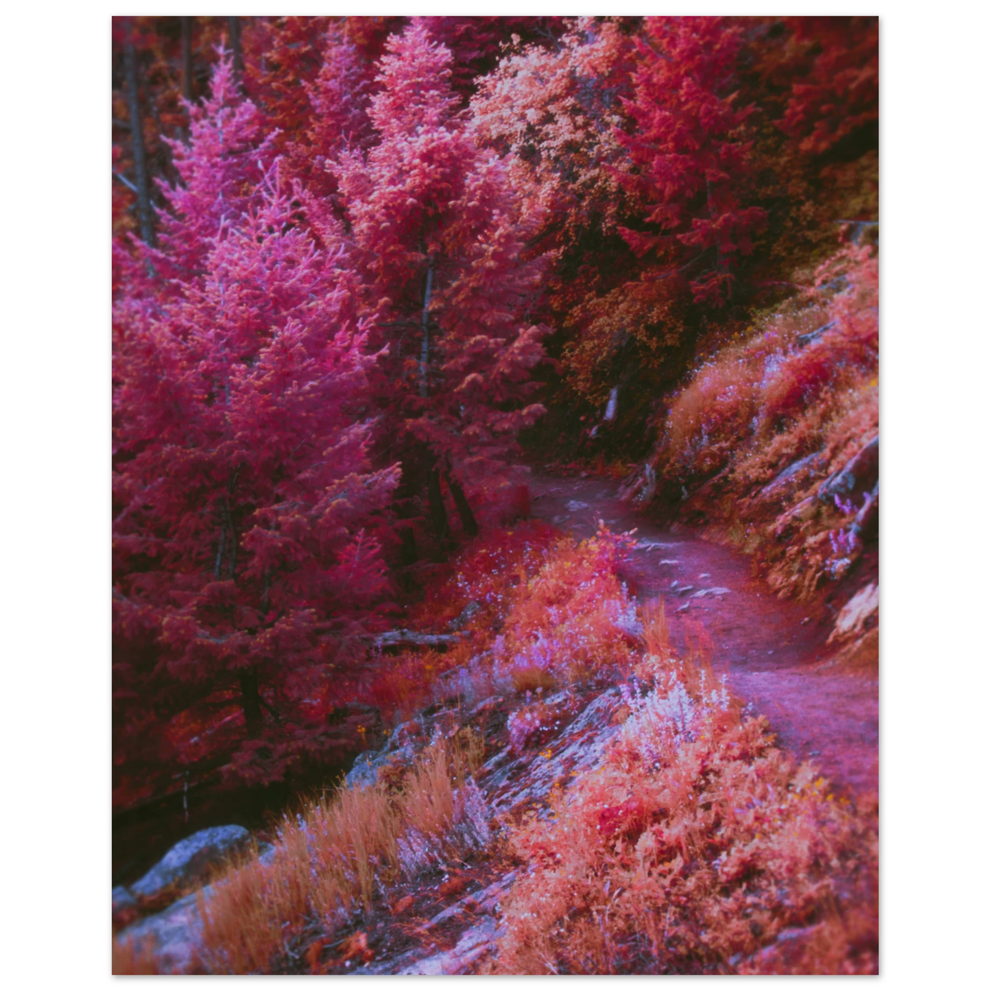 78ac0fab-4b25-427d-8e36-aac7b2d495cb