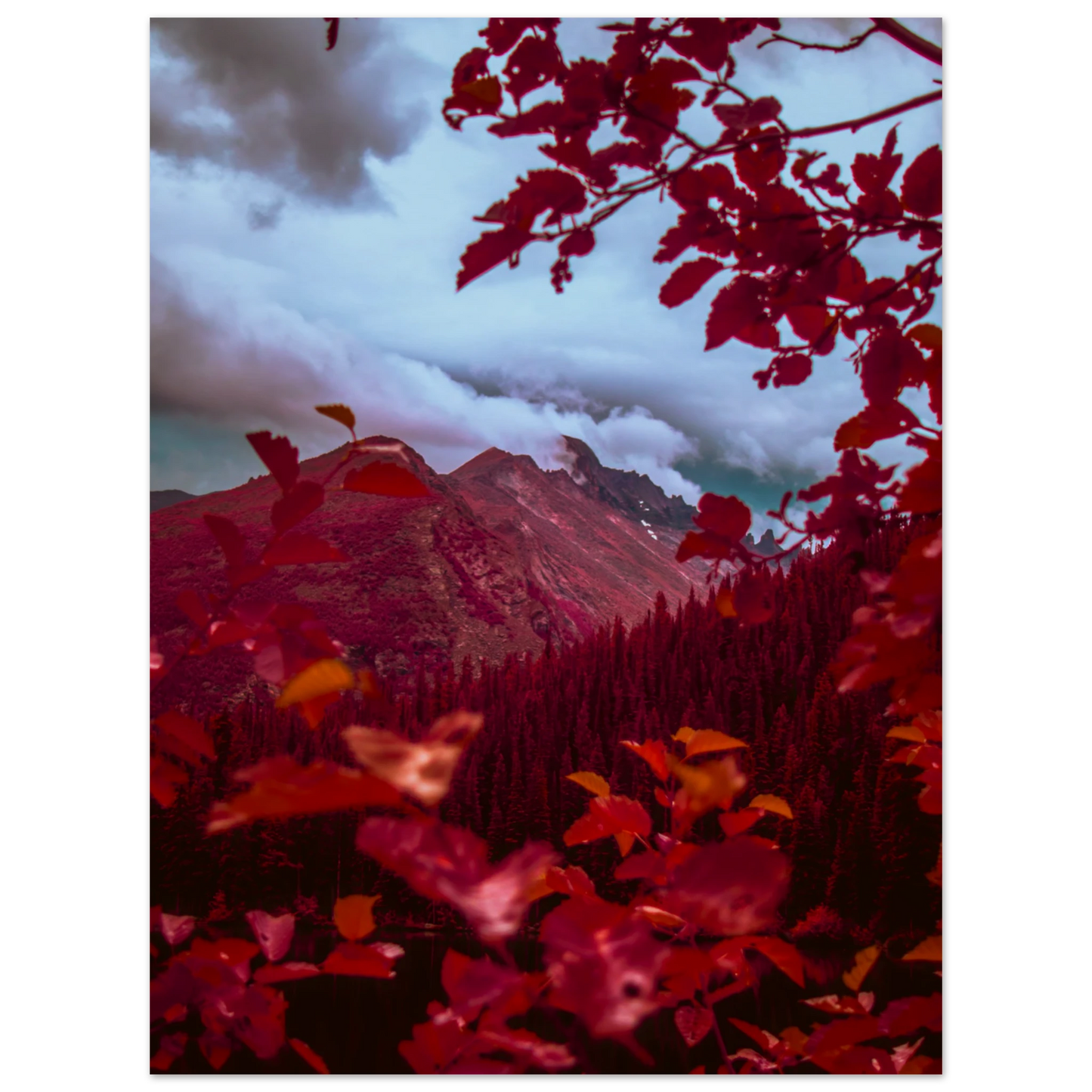 795cff36-4934-48f3-81e7-065cf107b33b