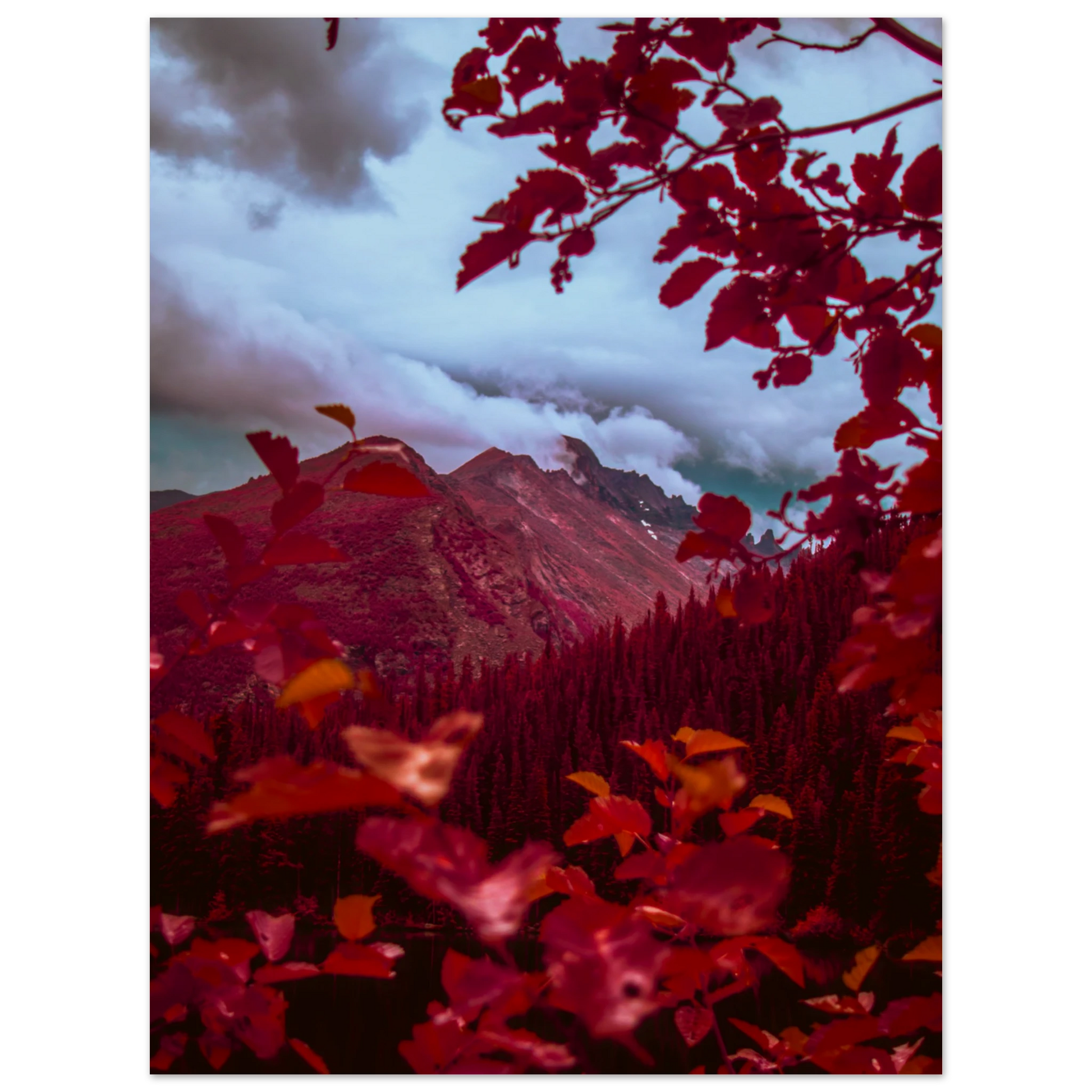 795cff36-4934-48f3-81e7-065cf107b33b