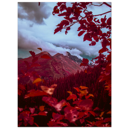 795cff36-4934-48f3-81e7-065cf107b33b