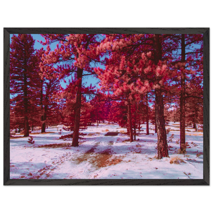 8972759a-8c32-4da4-ab4f-7fd2daf933a4
