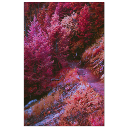 8c4509df-bd15-4892-b308-2afe5976d324
