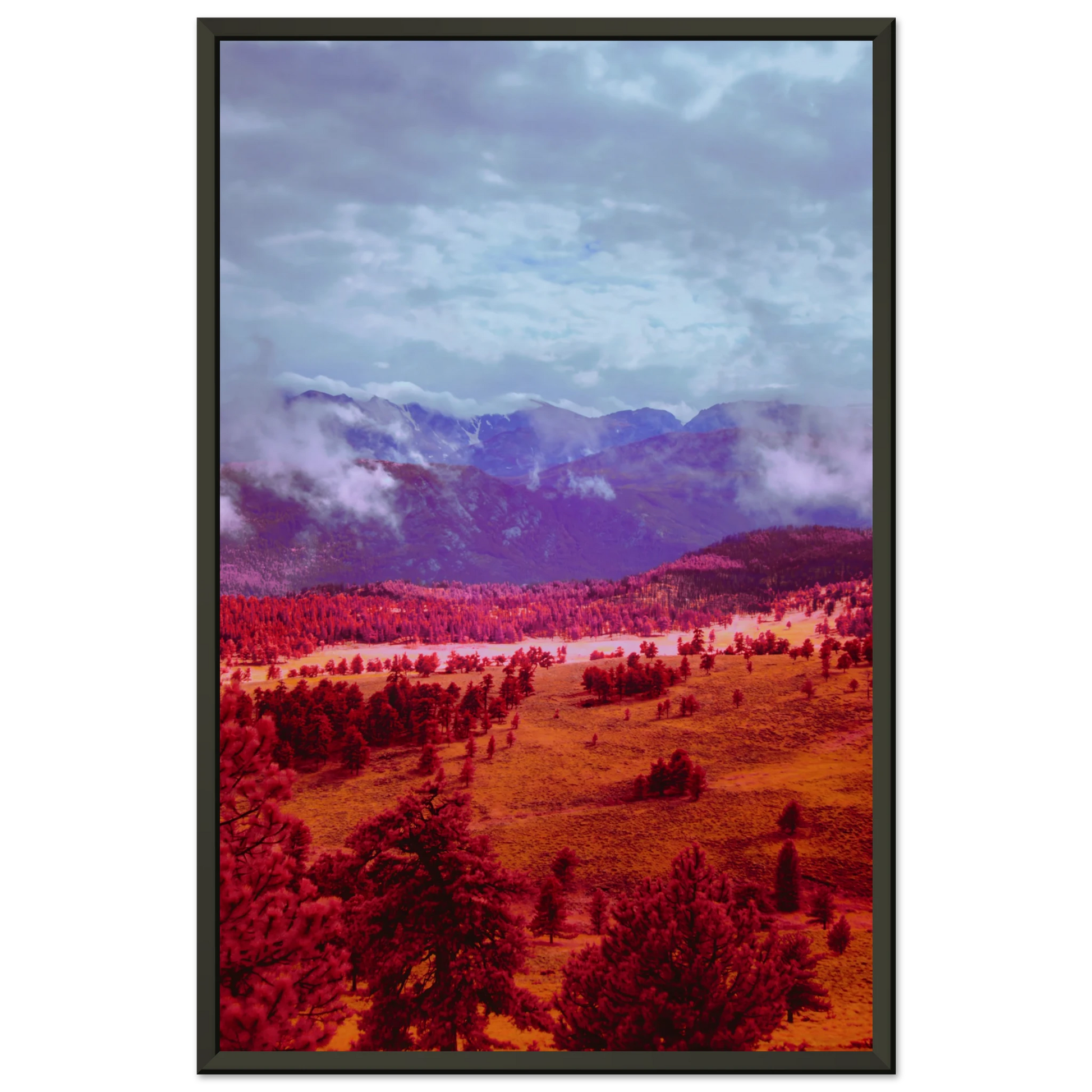903ffdda-a897-4266-be0e-f12921890ee0