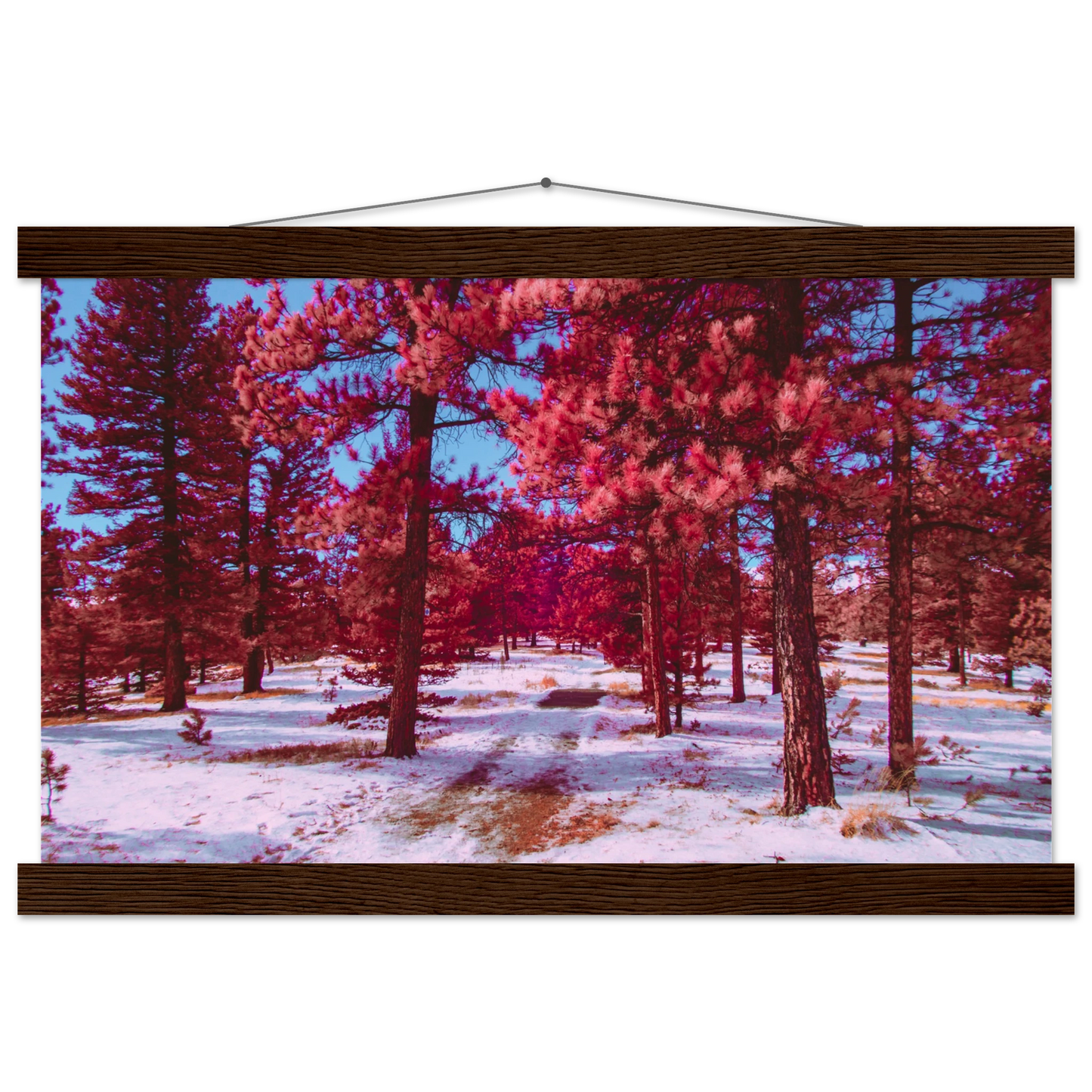 96e74396-ebf9-4e7b-bc9f-d7f157e802cf