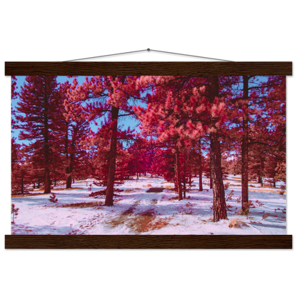 96e74396-ebf9-4e7b-bc9f-d7f157e802cf