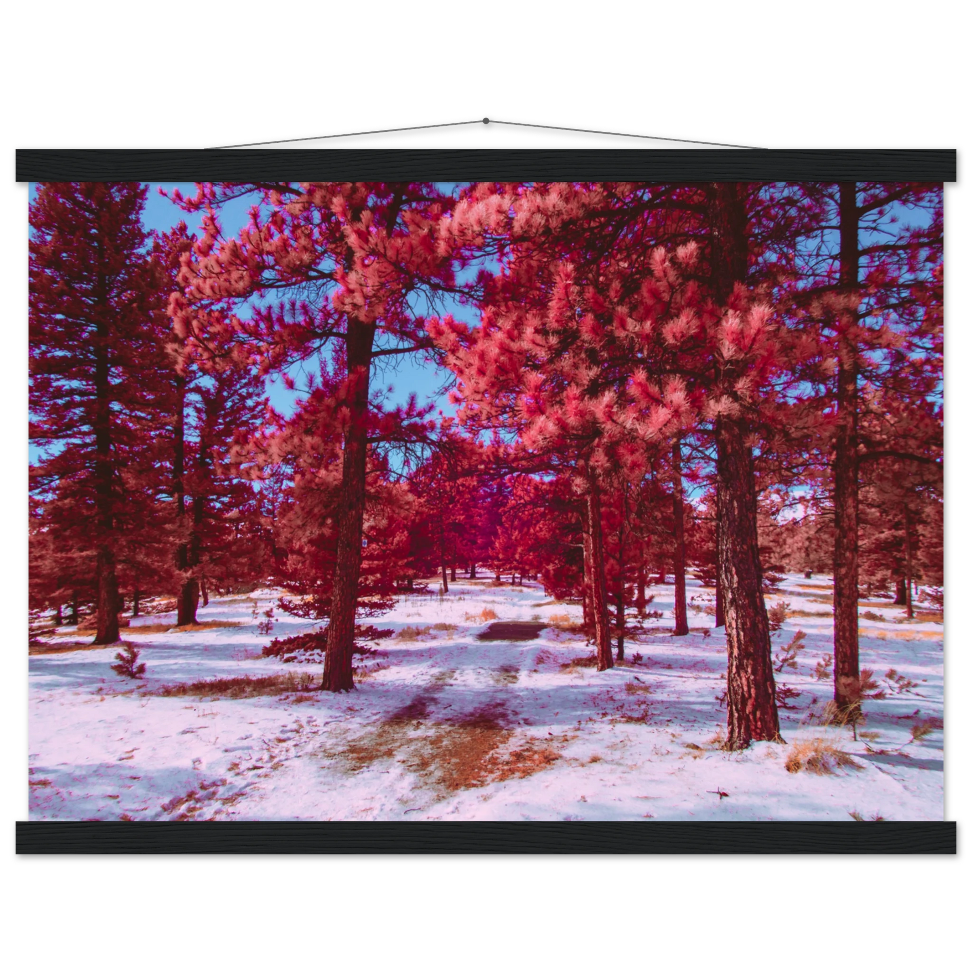 a7251eae-b25f-4588-90ff-132dbb138402