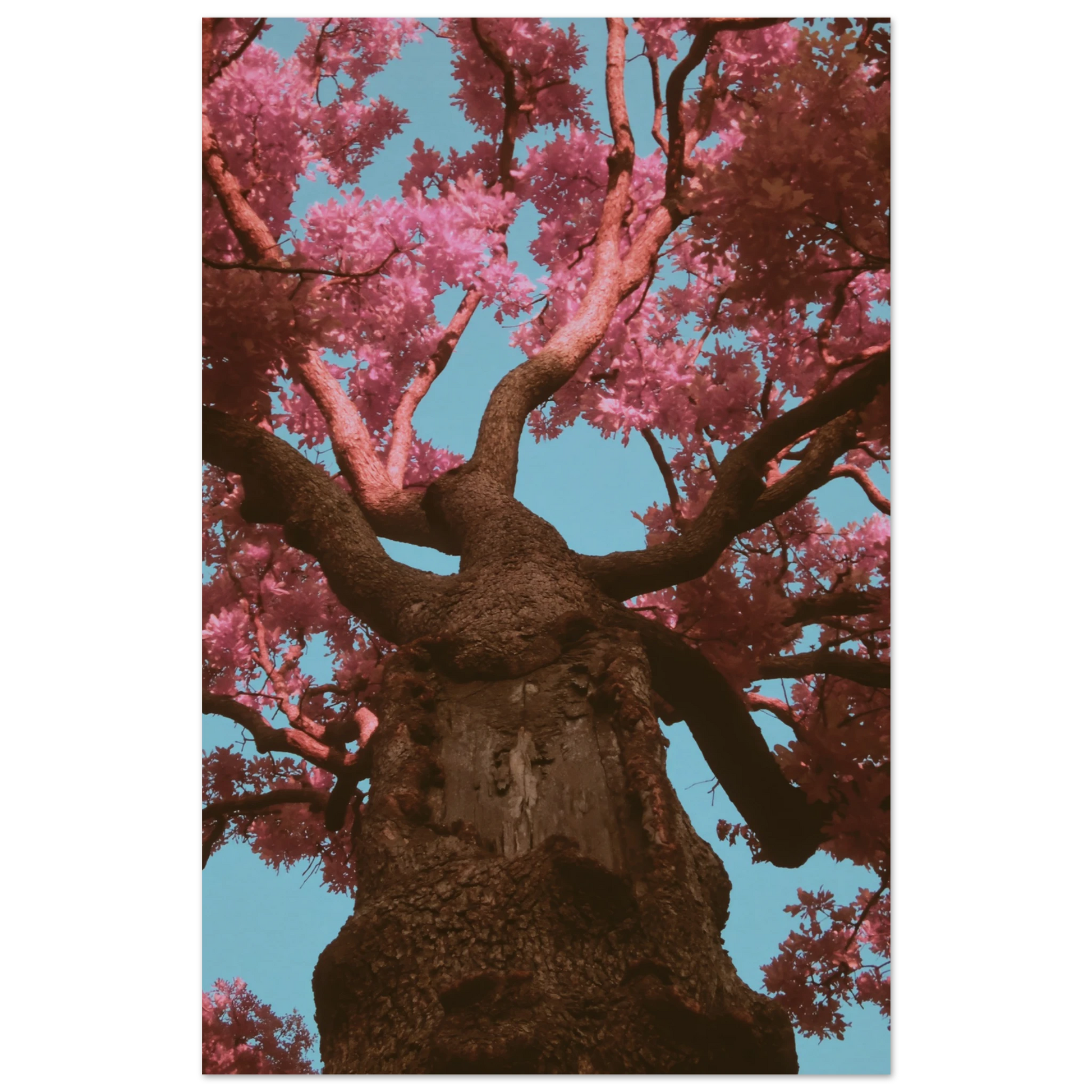 a785b95a-6654-4f9f-8dd7-eae2f8b3264b