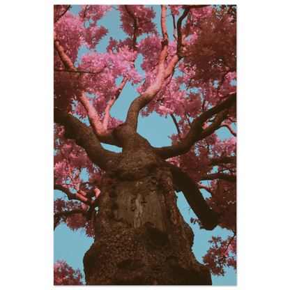 a785b95a-6654-4f9f-8dd7-eae2f8b3264b