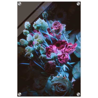 a86244b3-fc69-464c-b369-e75da7030022
