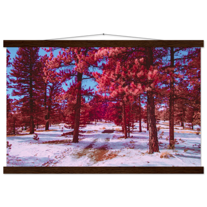 a9bd7520-efd1-47eb-87b3-58c9c08794e2