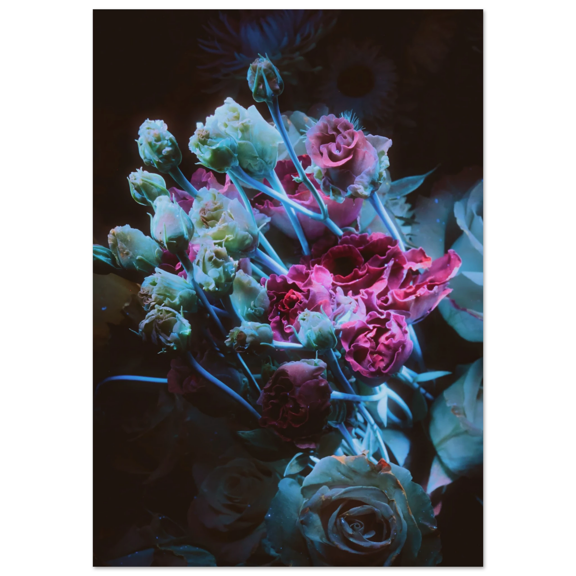 ae0246a7-6dbc-435f-97eb-075ffe9d1315