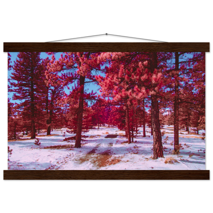 b14ca546-9965-4e0c-8a93-1bb2b8447792